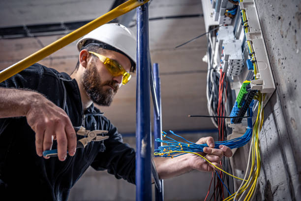 Best Electric Panel Repair  in Lake Tansi, TN